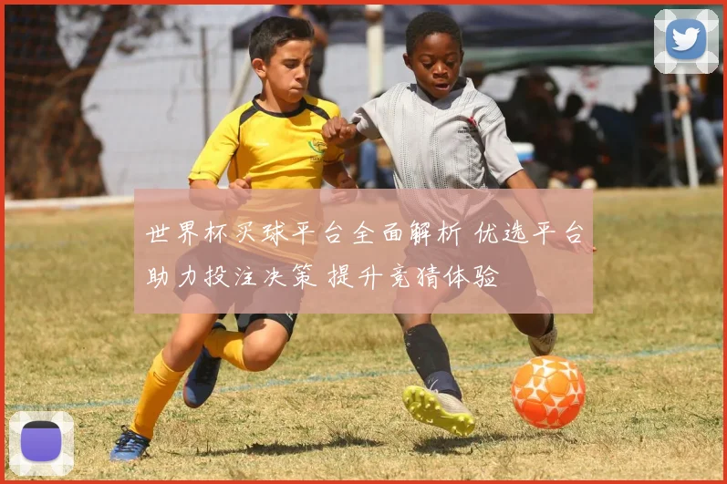 世界杯买球平台全面解析 优选平台助力投注决策 提升竞猜体验