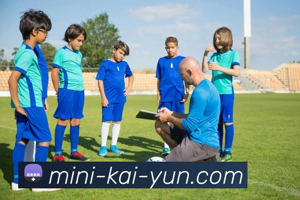 开云平台展示图