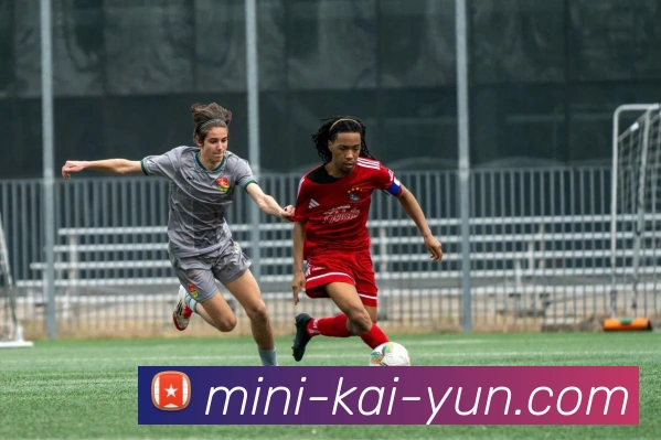 开云官网是多少及其访问方式安全性解析与使用指南详解